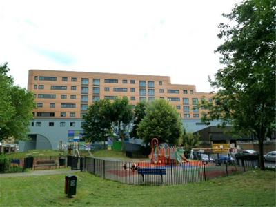 Picture 10